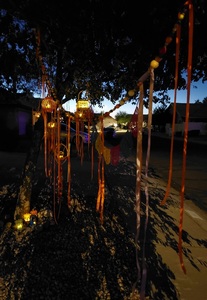 Against blue western twilight, another view of lanterns and beaded garlands, hanging from desert trees. 